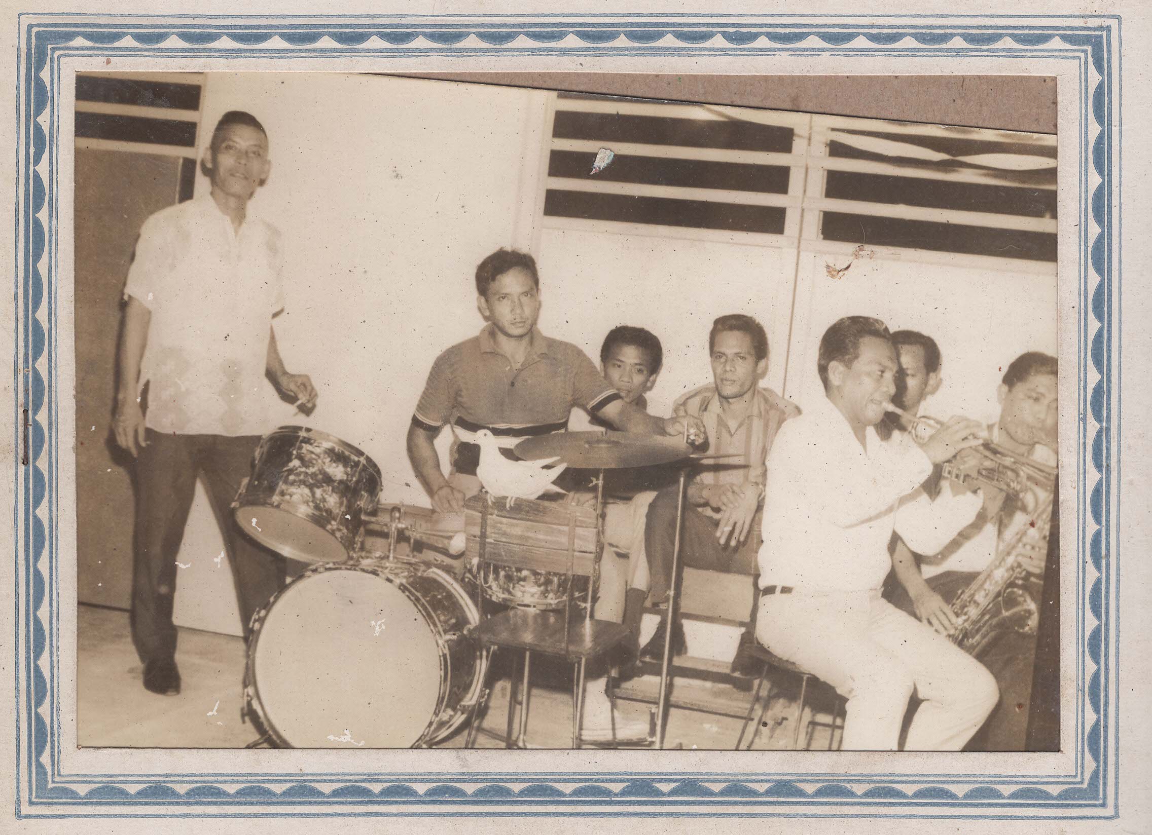 The live band with drums and brass instruments, a dove perched on the drum kit